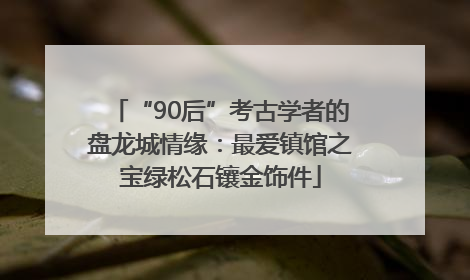 “90后”考古学者的盘龙城情缘：最爱镇馆之宝绿松石镶金饰件