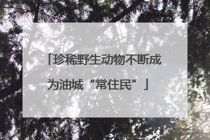 珍稀野生动物不断成为油城“常住民”