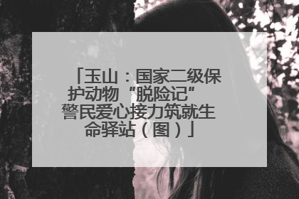 玉山：国家二级保护动物“脱险记” 警民爱心接力筑就生命驿站（图）