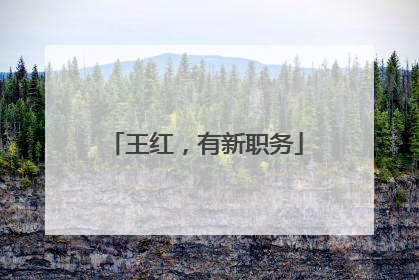 王红，有新职务