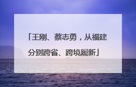 王刚、蔡志勇，从福建分别跨省、跨境履新