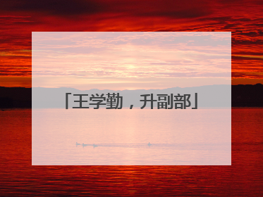 王学勤，升副部
