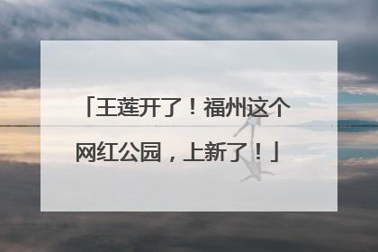 王莲开了！福州这个网红公园，上新了！
