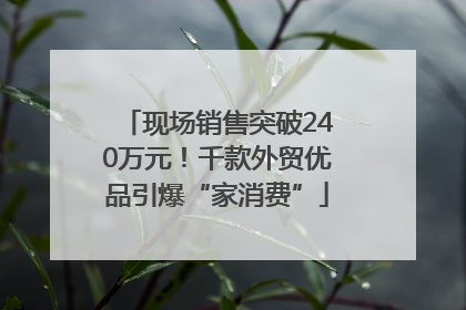 现场销售突破240万元！千款外贸优品引爆“家消费”