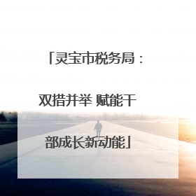 灵宝市税务局：双措并举 赋能干部成长新动能