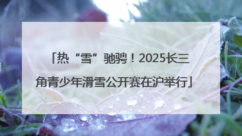热“雪”驰骋！2025长三角青少年滑雪公开赛在沪举行