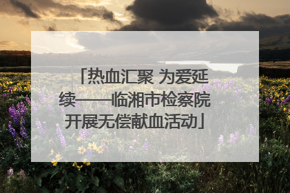 热血汇聚 为爱延续——临湘市检察院开展无偿献血活动