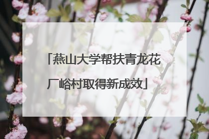 燕山大学帮扶青龙花厂峪村取得新成效