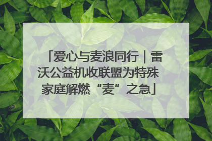 爱心与麦浪同行｜雷沃公益机收联盟为特殊家庭解燃“麦”之急