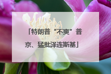 特朗普“不爽”普京、猛批泽连斯基