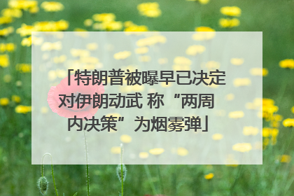 特朗普被曝早已决定对伊朗动武 称“两周内决策”为烟雾弹