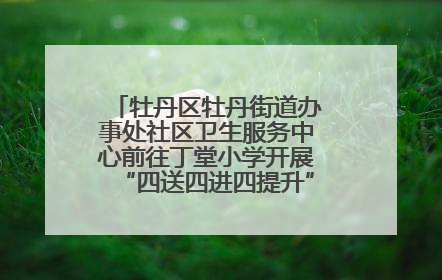 牡丹区牡丹街道办事处社区卫生服务中心前往丁堂小学开展“四送四进四提升”及无烟日宣传活动