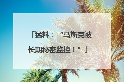 猛料：“马斯克被长期秘密监控！”
