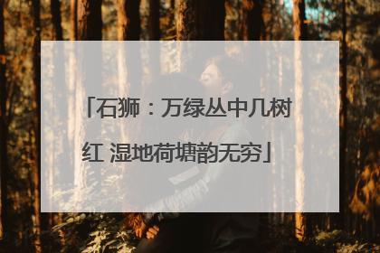 石狮：万绿丛中几树红 湿地荷塘韵无穷