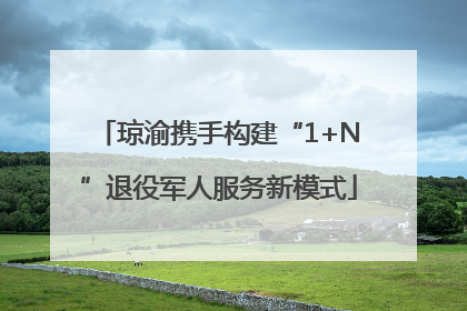 琼渝携手构建“1+N”退役军人服务新模式