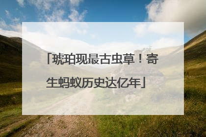 琥珀现最古虫草！寄生蚂蚁历史达亿年