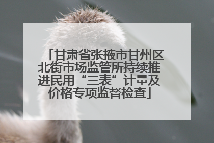 甘肃省张掖市甘州区北街市场监管所持续推进民用“三表”计量及价格专项监督检查