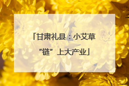 甘肃礼县：小艾草“链”上大产业