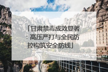 甘肃禁毒成效显著：高压严打与全民防控构筑安全防线