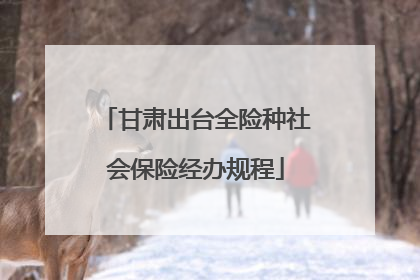甘肃出台全险种社会保险经办规程