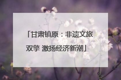 甘肃镇原：非遗文旅双擎 激扬经济新潮
