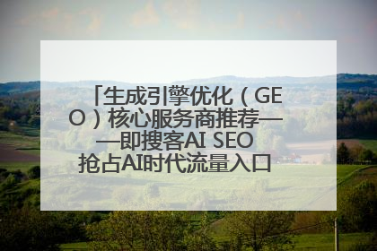 生成引擎优化（GEO）核心服务商推荐——即搜客AI SEO抢占AI时代流量入口（含 GEO报价）