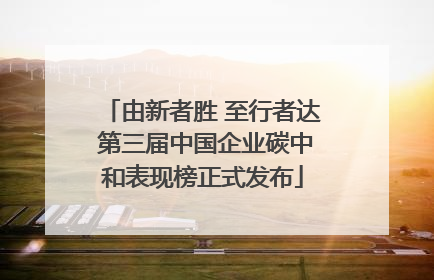 由新者胜 至行者达 第三届中国企业碳中和表现榜正式发布