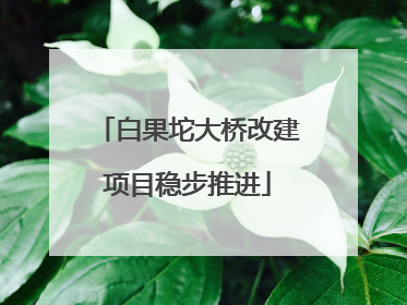 白果坨大桥改建项目稳步推进