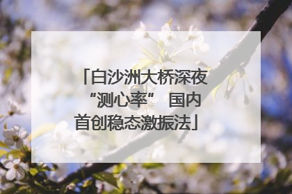 白沙洲大桥深夜“测心率” 国内首创稳态激振法