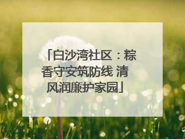 白沙湾社区：粽香守安筑防线 清风润廉护家园