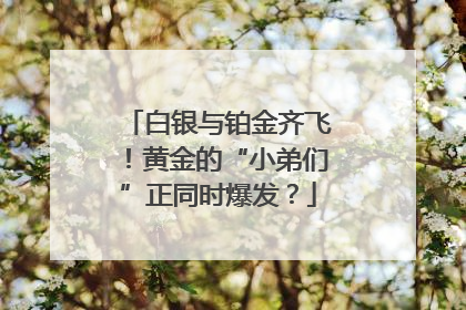 白银与铂金齐飞！黄金的“小弟们”正同时爆发？