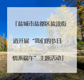 盐城市盐都区盐渎街道开展“我们的节日·情系端午”主题活动