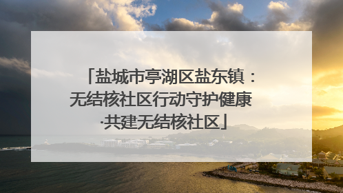 盐城市亭湖区盐东镇：无结核社区行动守护健康 ·共建无结核社区