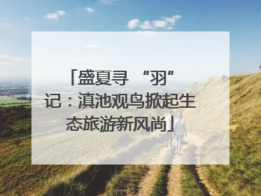 盛夏寻 “羽” 记：滇池观鸟掀起生态旅游新风尚