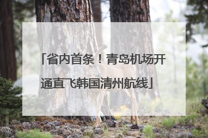 省内首条！青岛机场开通直飞韩国清州航线