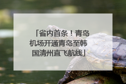 省内首条！青岛机场开通青岛至韩国清州直飞航线