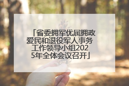 省委拥军优属拥政爱民和退役军人事务工作领导小组2025年全体会议召开