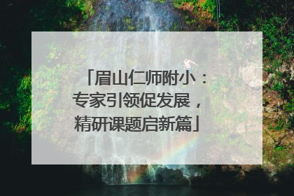 眉山仁师附小：专家引领促发展，精研课题启新篇