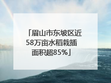 眉山市东坡区近58万亩水稻栽插面积超85%