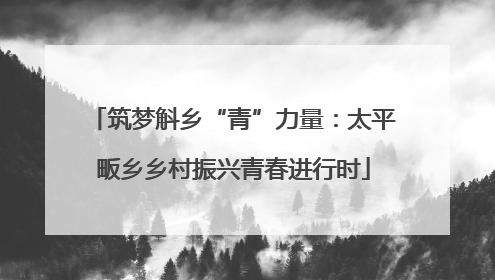 筑梦斛乡“青”力量：太平畈乡乡村振兴青春进行时