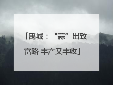 禹城：“蒜”出致富路 丰产又丰收