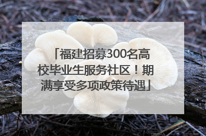 福建招募300名高校毕业生服务社区！期满享受多项政策待遇