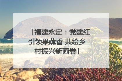 福建永定：党建红引领果蔬香 共绘乡村振兴新画卷