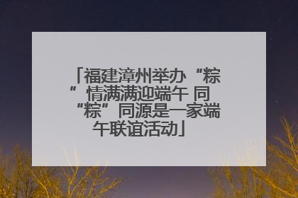 福建漳州举办“粽”情满满迎端午 同“粽”同源是一家端午联谊活动