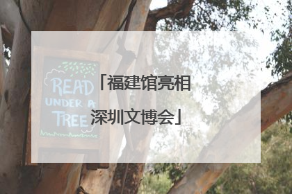 福建馆亮相深圳文博会