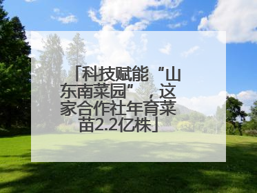 科技赋能“山东南菜园”，这家合作社年育菜苗2.2亿株