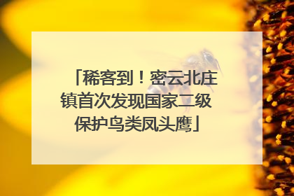 稀客到！密云北庄镇首次发现国家二级保护鸟类凤头鹰