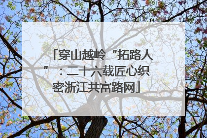 穿山越岭“拓路人”：二十六载匠心织密浙江共富路网