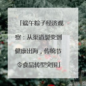 端午粽子经济观察：从渠道裂变到健康出海，传统节令食品转型突围