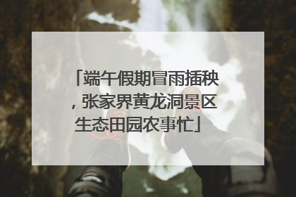 端午假期冒雨插秧，张家界黄龙洞景区生态田园农事忙